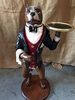 51St6OeqAsL._AC_UF350,