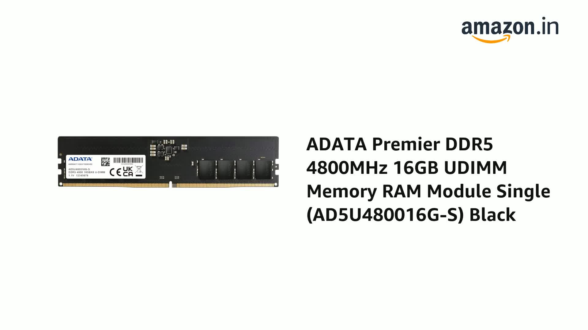 Amazon.in: Buy ADATA Premier 16GB 4800MHz U-DIMM DDR5 Desktop