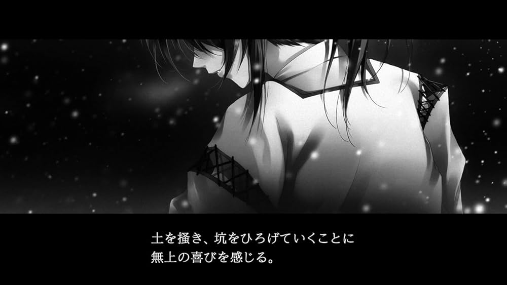 Amazon.co.jp: カルタグラ - Switch : ゲーム