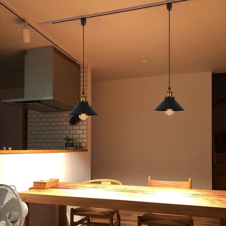 Amazon.co.jp : 3個入 ペンダントライト ダクトレール用 直径22cm 工事