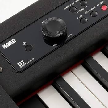 Amazon.com: Korg D1 88-Key Stage Piano Controller : Musical