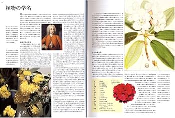 フローラ - Gardening (全2巻) FLORA | トニー ロード, 智子, 井口 |本