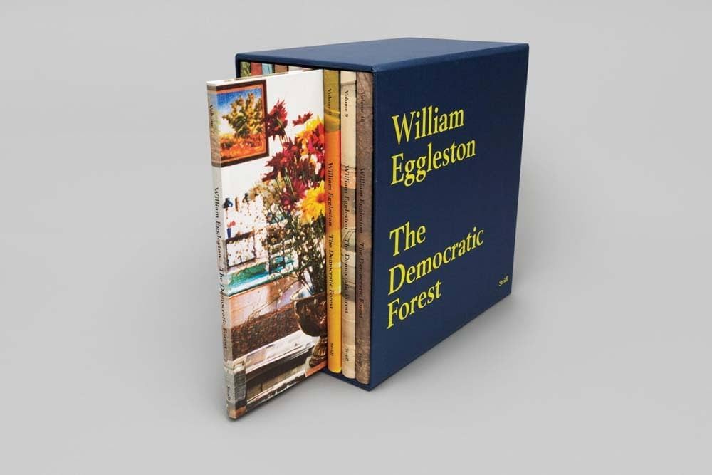 Amazon | William Eggleston: The Democratic Forest | Eggleston