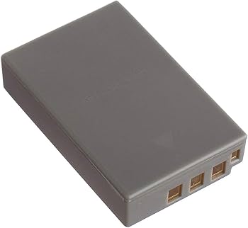 Amazon.com : Battery and LCD USB Charger for Olympus OM-D E-M10