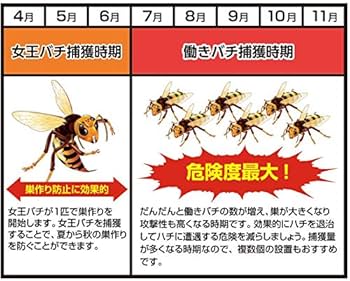 51Ya6jJYGNL._AC_UF350,