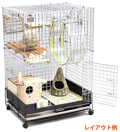 Amazon.co.jp: コンフォート60 チンチラスペシャル : ペット用品