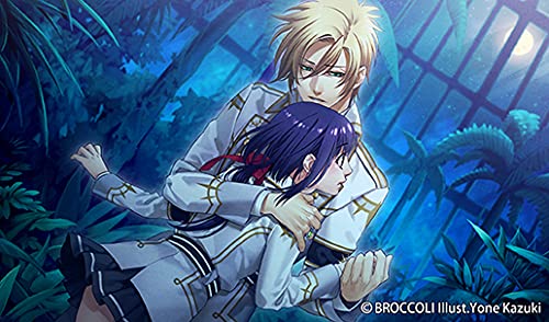 Amazon.co.jp: 神々の悪戯 Unite Edition - Switch : ゲーム