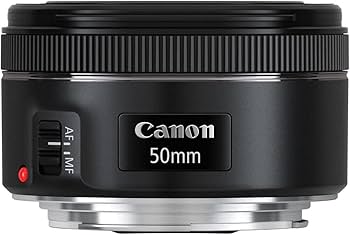 Amazon.com : Canon EF 50mm f/1.8 STM Lens (0570C002) + Filter Kit