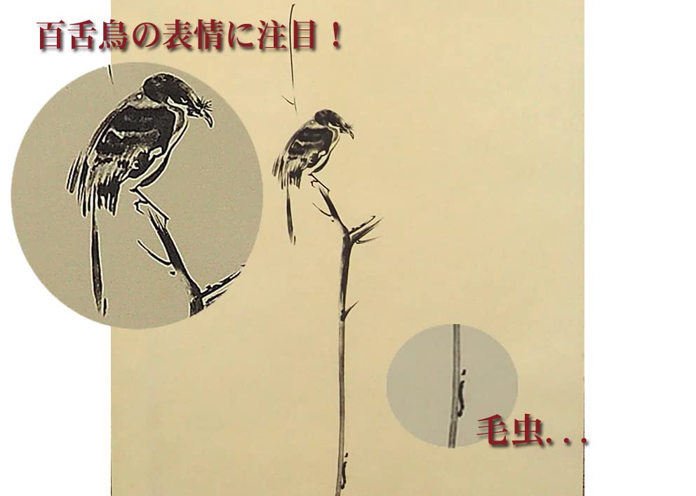 Amazon.co.jp: 掛け軸 枯木鳴鵙 宮本武蔵 武蔵 尺五 こぼくめいげき