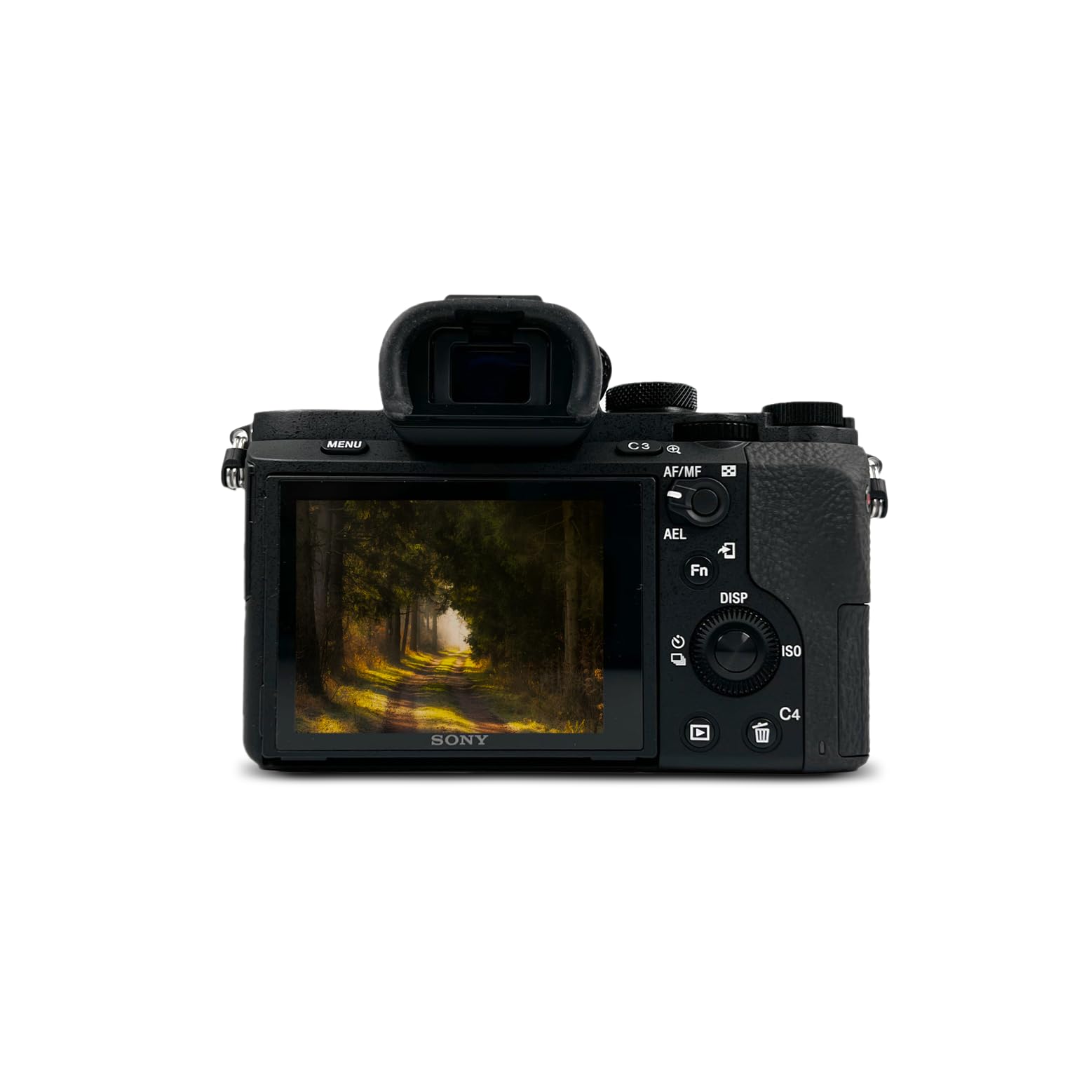 Amazon.com : Sony Alpha 7 II Full-Frame Mirrorless Digital Camera