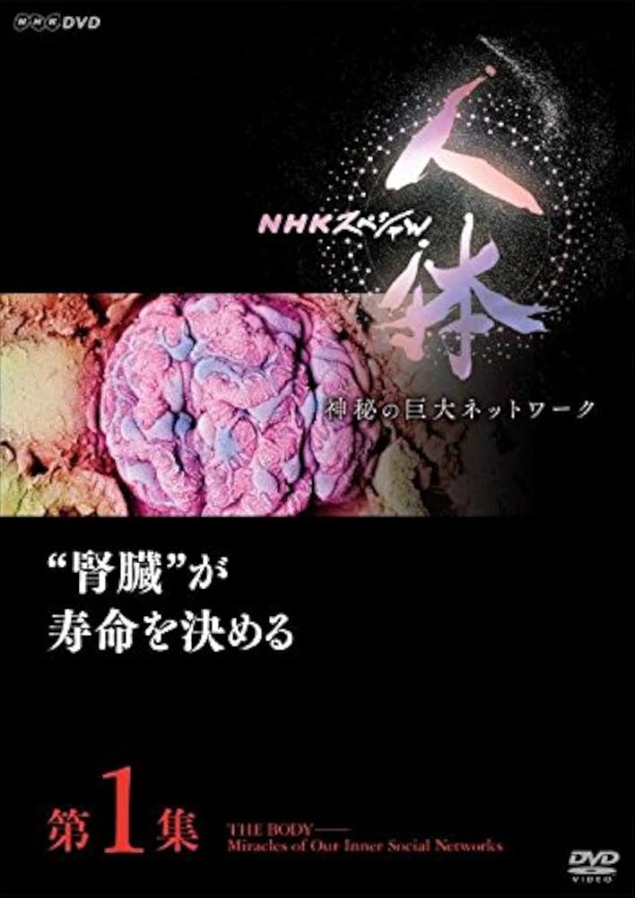 Amazon.co.jp: NHKスペシャル 人体 神秘の巨大ネットワーク 第1集 腎臓