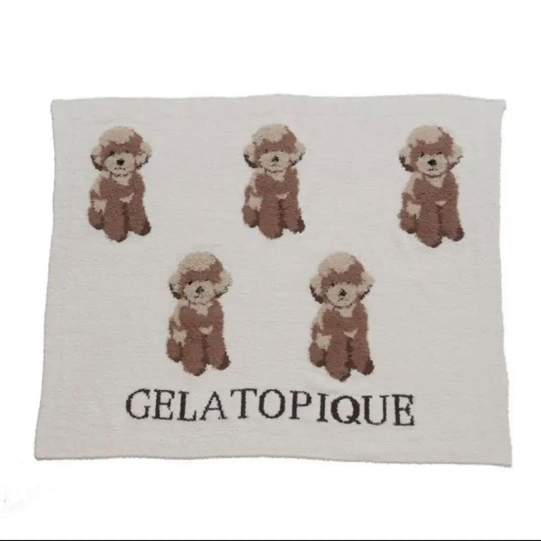 Amazon.co.jp: ジェラピケ トイプードル ブランケット 膝掛け : ホーム