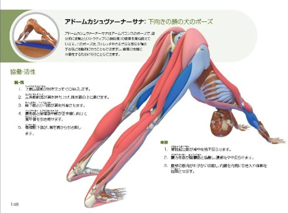 図解YOGAアナトミー:アーサナ編 - 医師が解説するヨガの機能解剖学