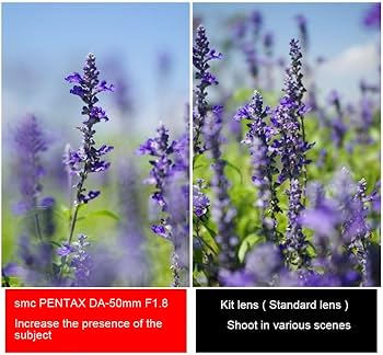 Amazon.com : Pentax DA 50mm f1.8 lens for Pentax DSLR Cameras