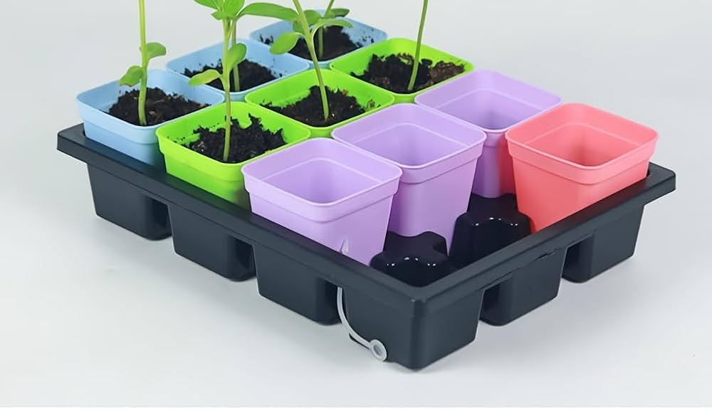 51dV1yZenmL._AC_UF1000,