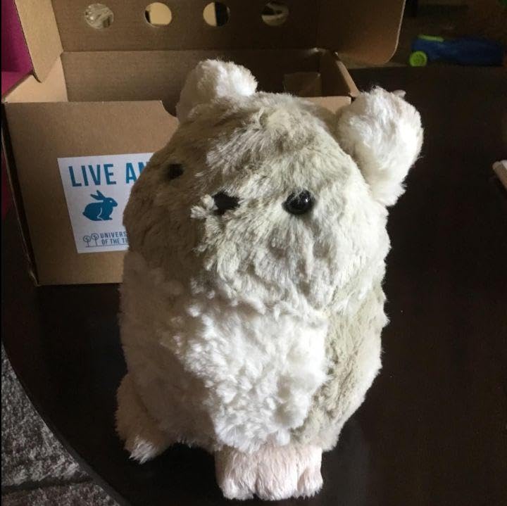 Amazon.co.jp: Purrble-パーブル 心を落ち着かせてくれるコンパニオン