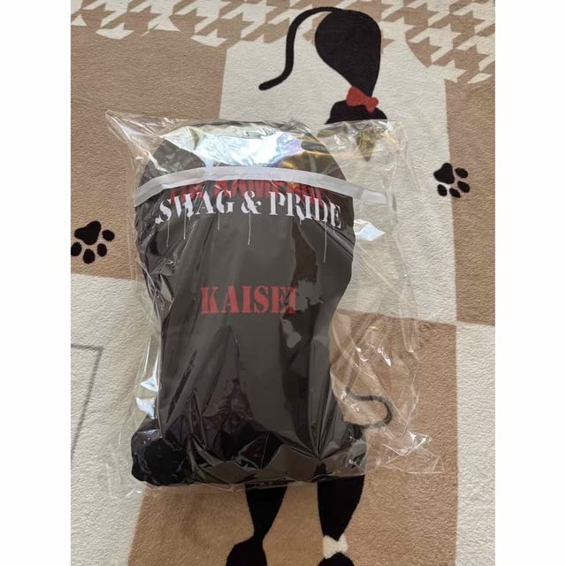 Amazon.co.jp: THE RAMPAGE 武知海青 SWAG & PRIDE クッション : おもちゃ