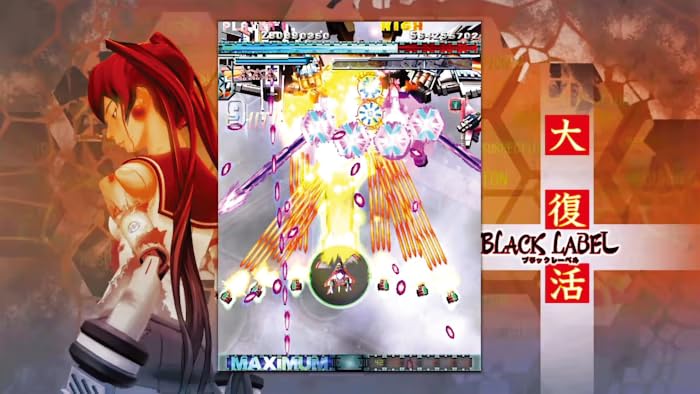 Amazon.co.jp: SUPERDELUXE GAMES 怒首領蜂大復活(ドドンパチダイ