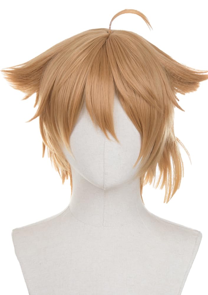 Amazon.co.jp: 伏見ガク 長尾景 緑仙 コミケ ウィッグ コスプレ