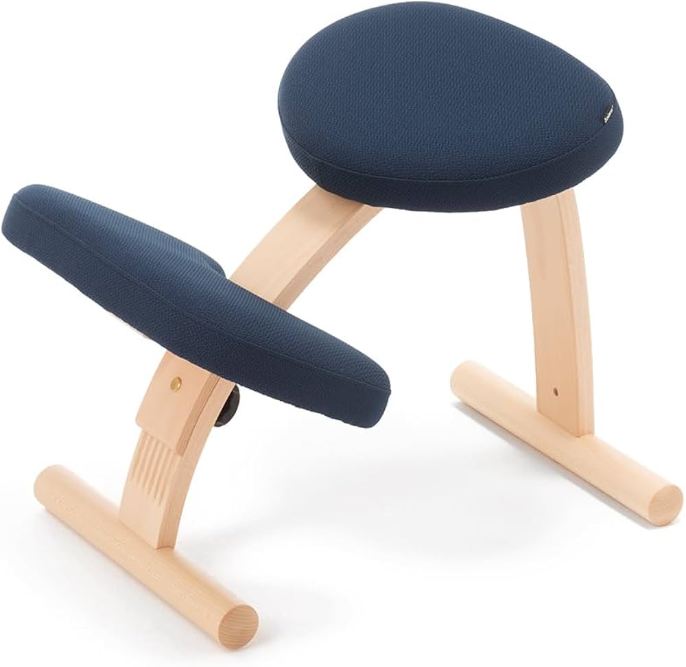 バランスイージー 通常フレーム バランスチェア イージー Amazon.co.jp