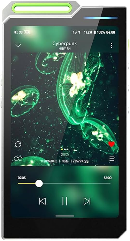 Amazon.com: HiBy R4 Next-Gen Digital Audio Player with Spotify