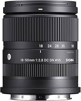 Amazon.com : Sigma 18-50mm F2.8 DC DN Contemporary (for E Mount