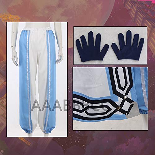 Amazon.co.jp: ウィッグ 付き魔法使いの約束 まほやく シノ