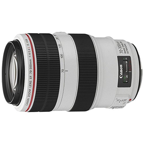 Amazon.co.jp: Canon EFレンズ EF70-300mm F4-5.6L IS USM ズーム
