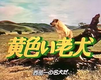 Amazon.co.jp: 【レンタル落ち・VHSビデオソフト】黄色い老犬、総指揮