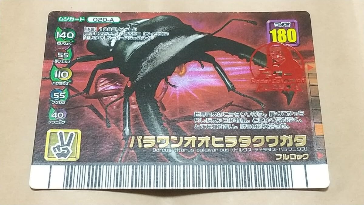 Amazon.co.jp: アダー パラワンオオヒラタクワガタ 2007年フォレスト