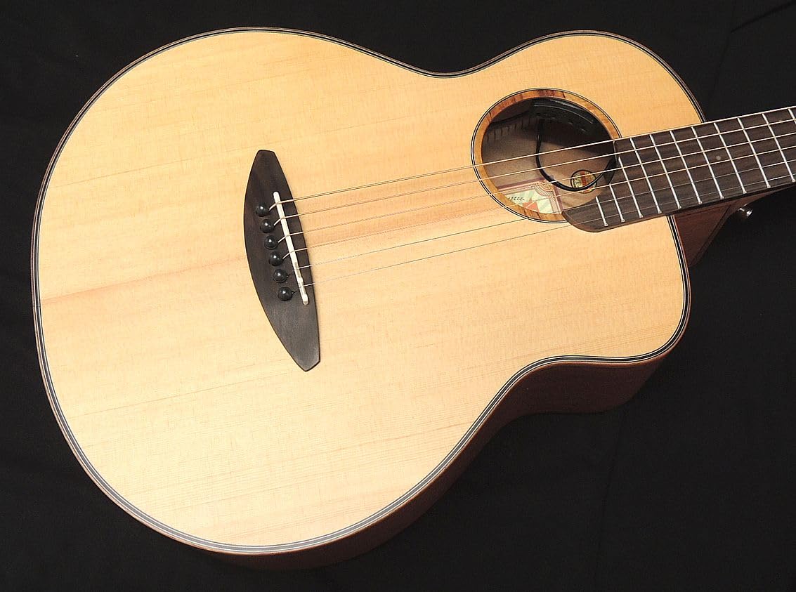 Amazon | aNueNue Bird Guitar aNN-M10E Solid Sitka Spruce Top