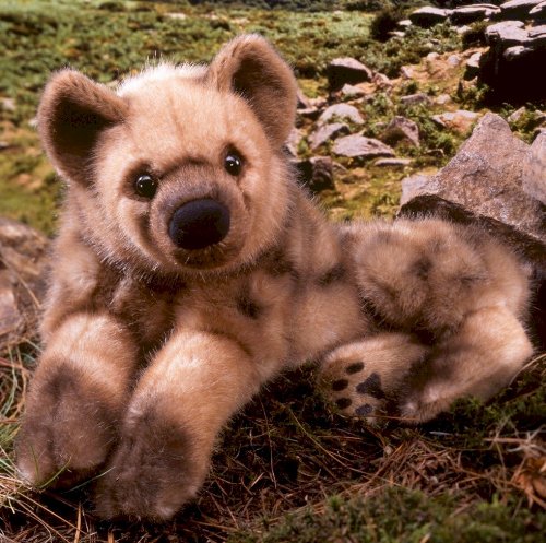 Amazon.co.jp: ハイエナ KOSEN(ケーセン社) 44cm “Lulonga