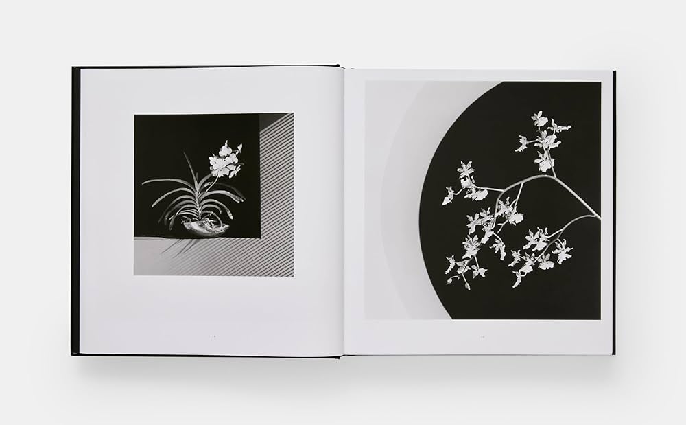 Amazon.com: Mapplethorpe Flora: The Complete Flowers