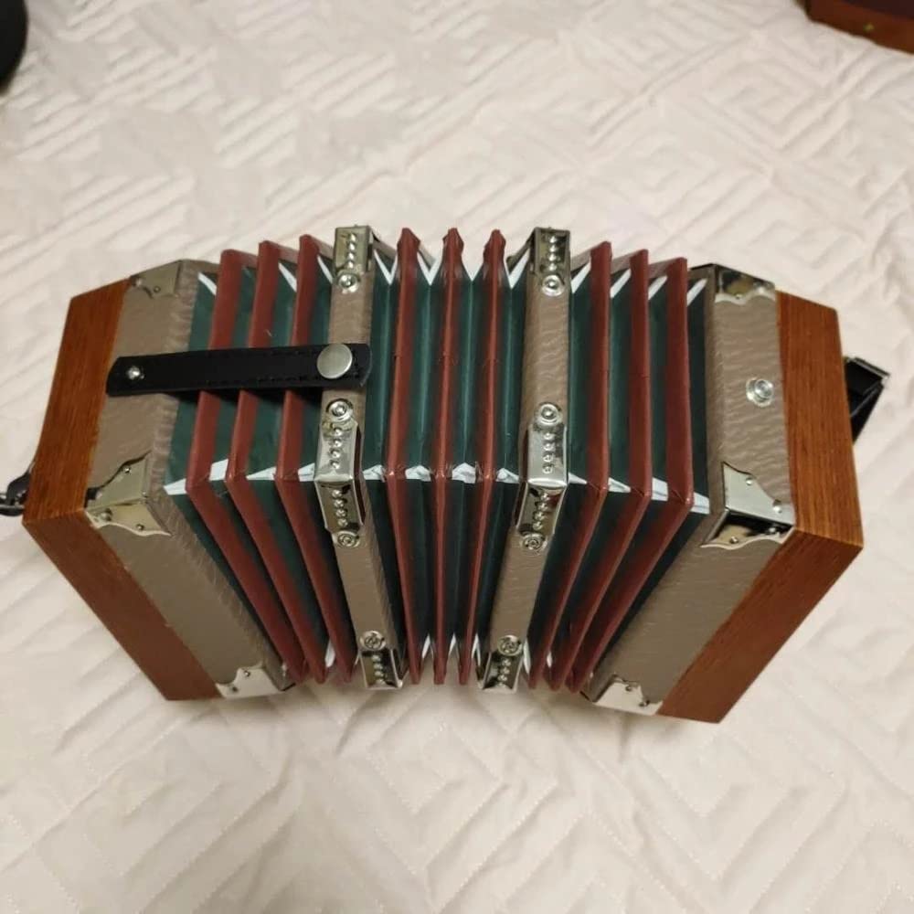 Amazon | 20ボタンのコンサーティーナ楽器、ハイエンドでエレガントな