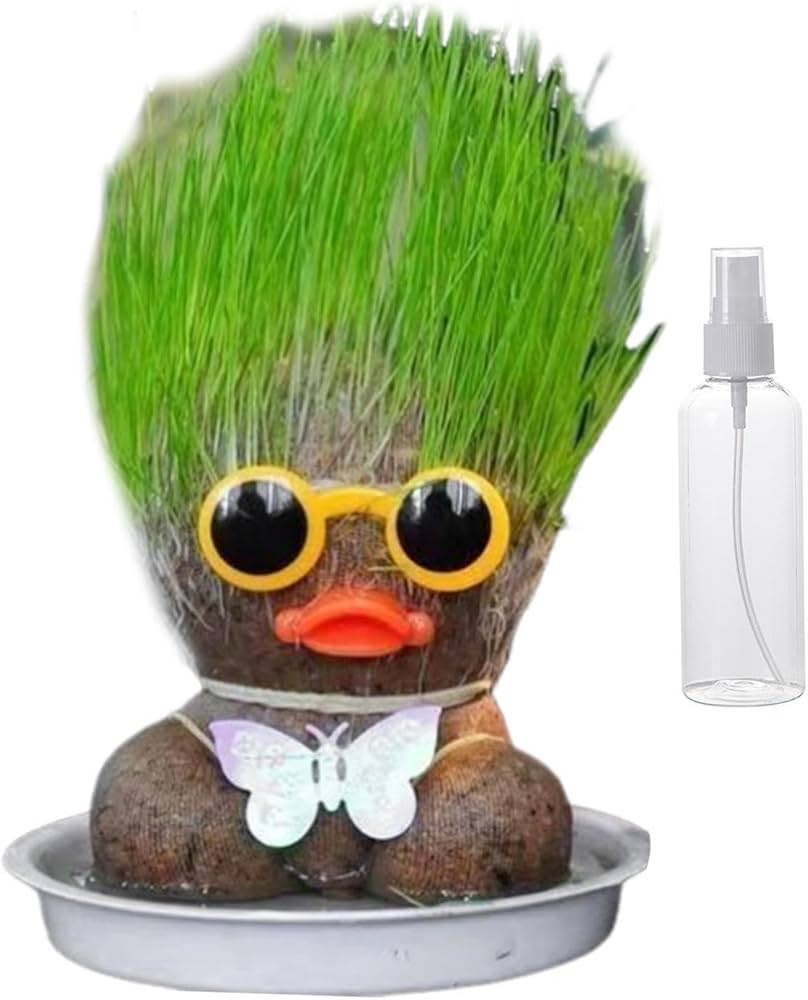 Amazon.co.jp: 草の頭の人形の植物、成長する草の頭の人形, 草の頭の