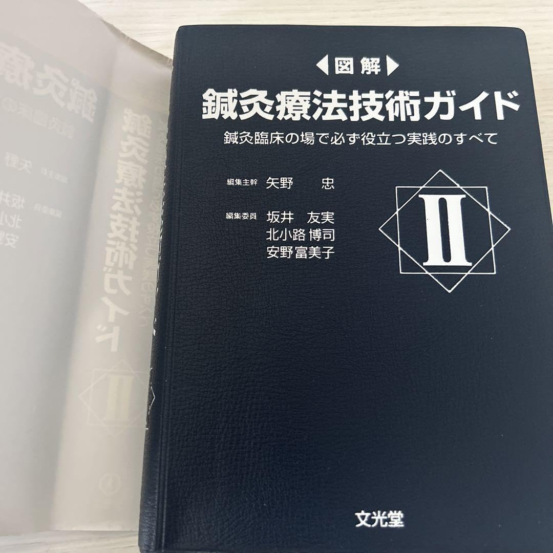 Amazon.co.jp: 図解鍼灸療法技術ガイド 鍼灸臨床の場で必ず役立つ実践