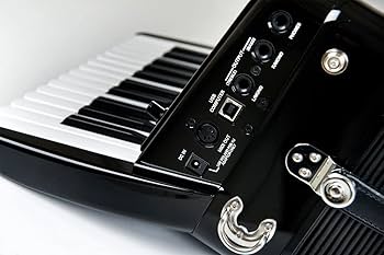 Amazon | Roland ローランド/V-Accordion FR-1X BK【純正ケース BAG-FR