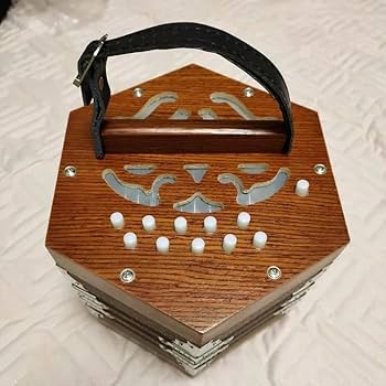 Amazon | 20ボタンのコンサーティーナ楽器、ハイエンドでエレガントな