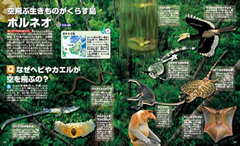 WONDER MOVE 大自然のふしぎ | 講談社, 長沼 毅 |本 | 通販 | Amazon