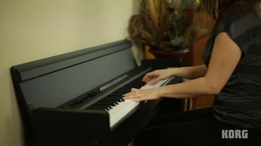 Amazon.com: Korg LP380-88 - Key Digital Piano, Black : Musical