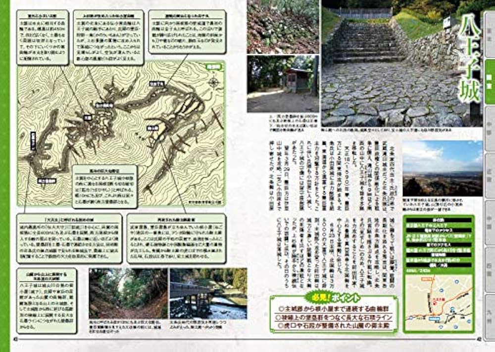 廃城をゆく ベスト100城 (イカロス・ムック) |本 | 通販 | Amazon