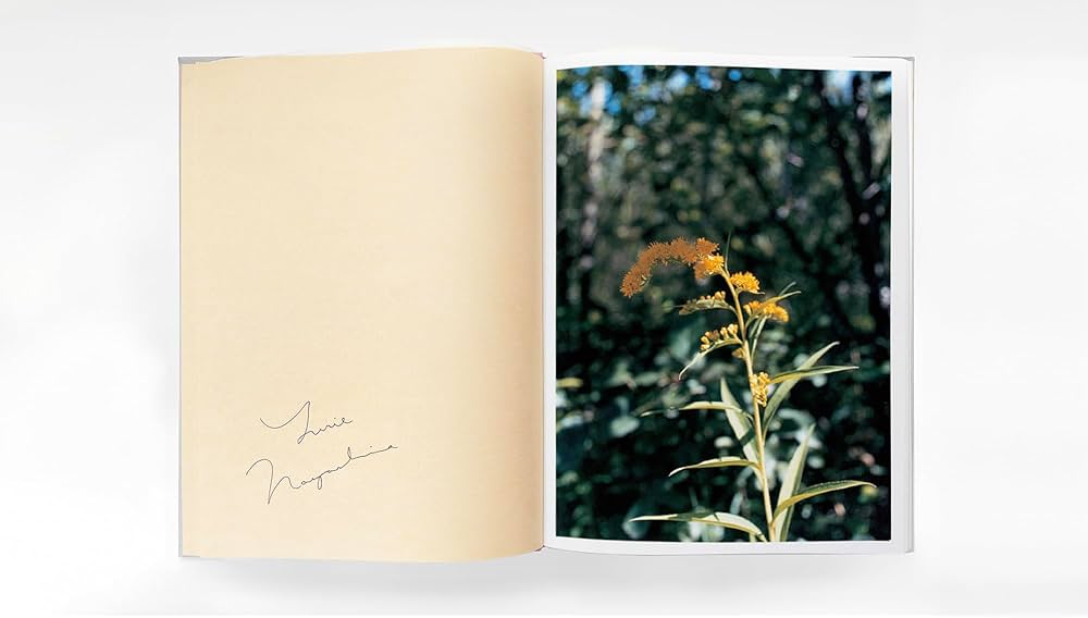 Amazon.co.jp: SWISS : 長島 有里枝: 本