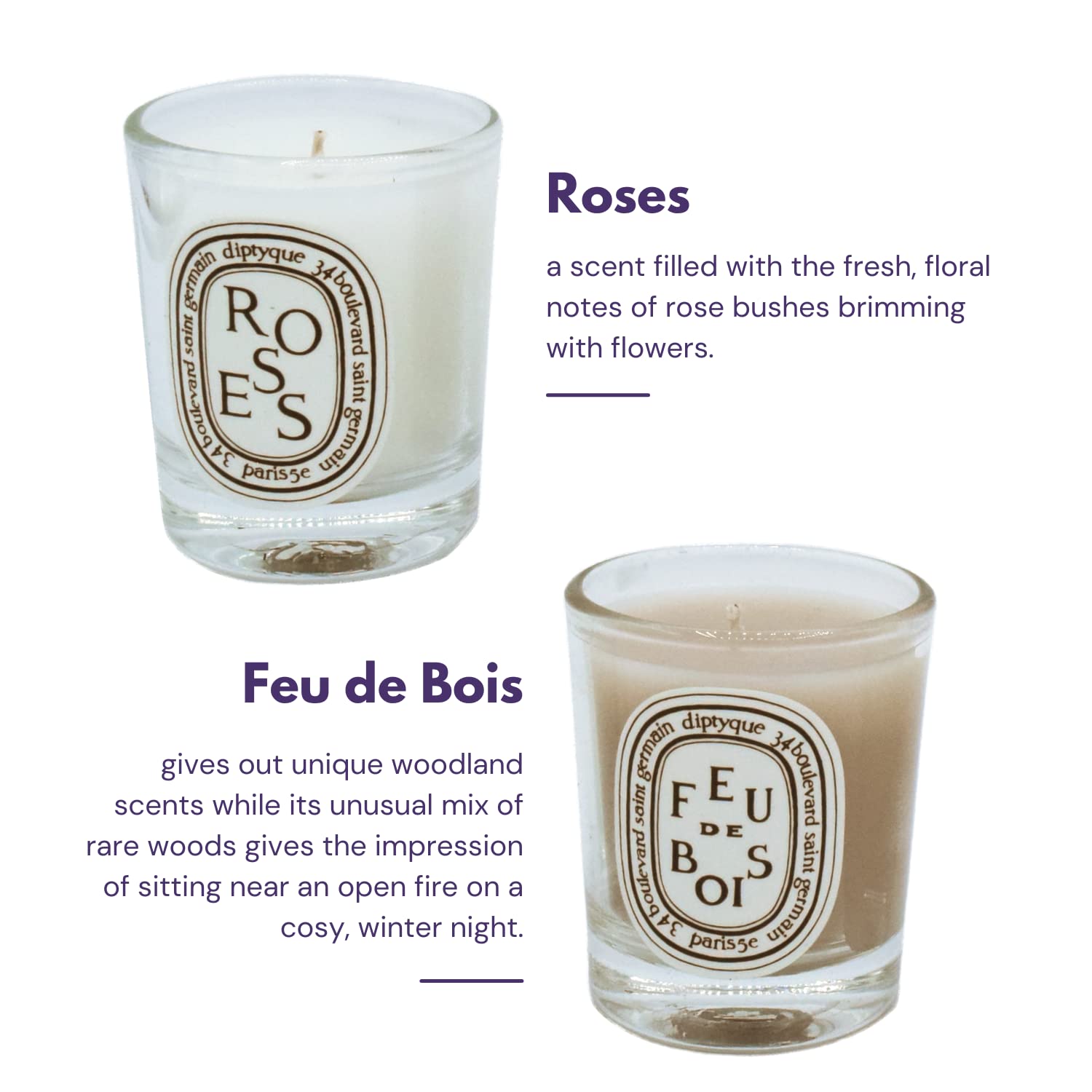 Amazon.co.jp: Diptyque 5個セット ホームアロマテラピーワックス