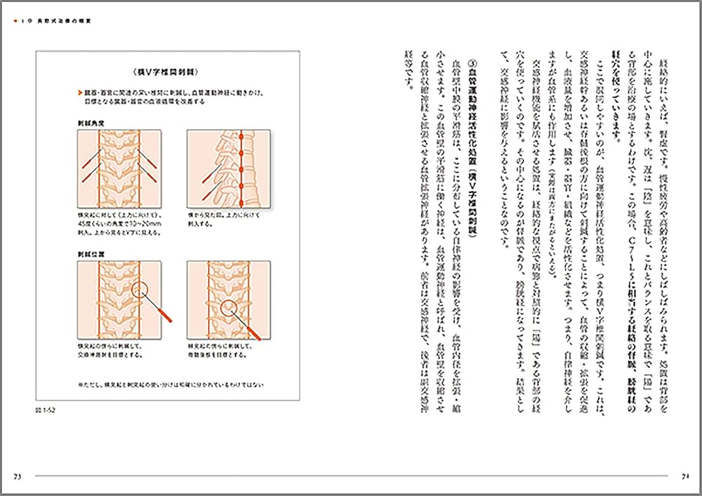 よくわかる長野式治療 日本鍼灸のスタンダードをめざして | 長野康司
