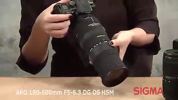 Amazon.com : Sigma 150-500mm f/5-6.3 AF APO DG OS HSM Telephoto