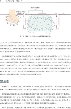 マッスルエナジーテクニック: 全身の筋肉に適応できるホールド