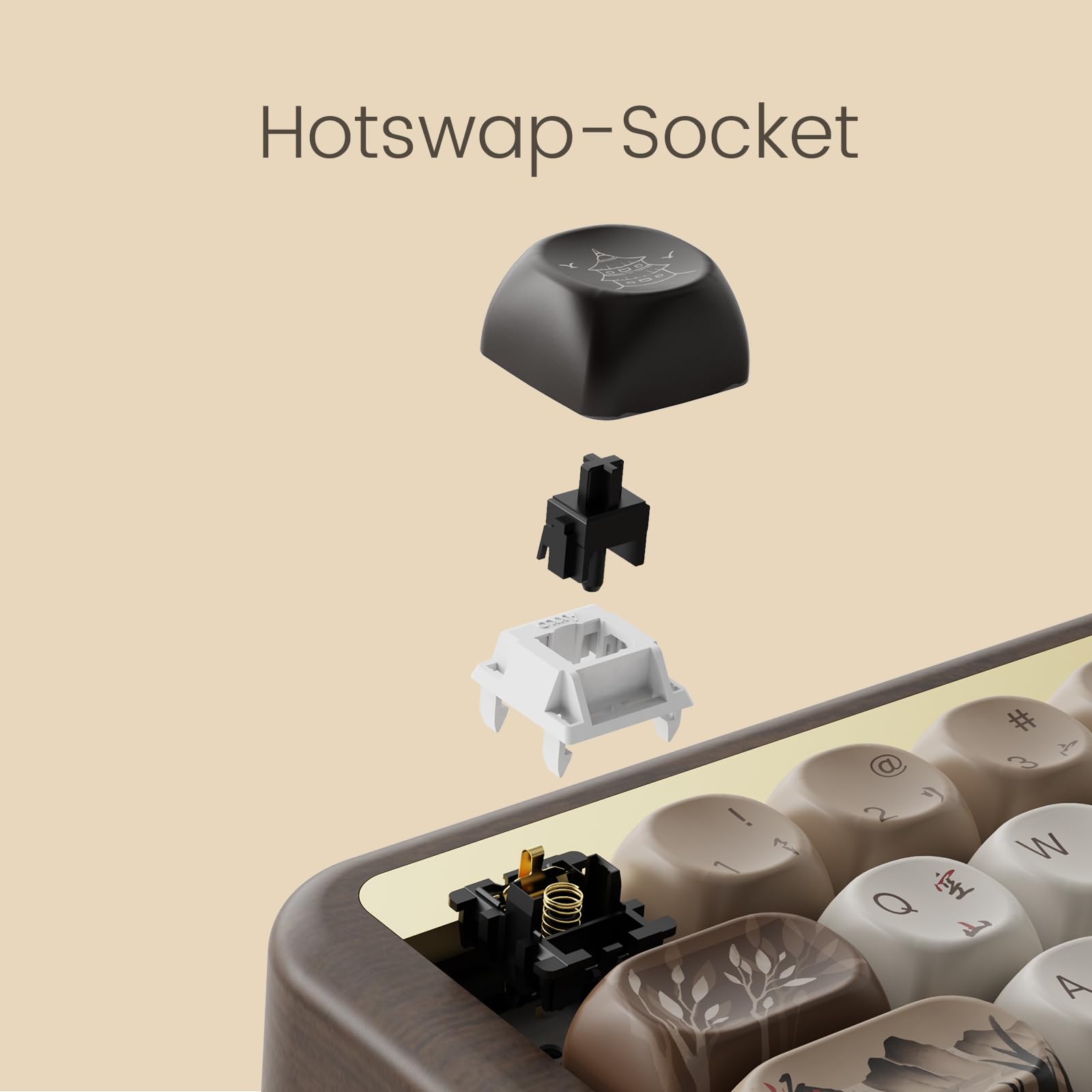 Amazon.com: Akko Mechanical Gaming Keyboard with Walnut Wooden