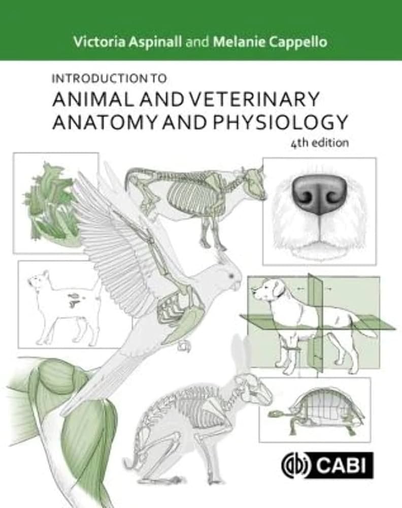 Amazon.com: Introduction to Animal and Veterinary Anatomy and