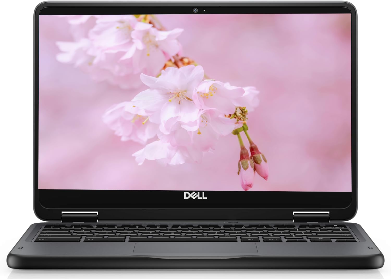 Amazon.com: Dell 11