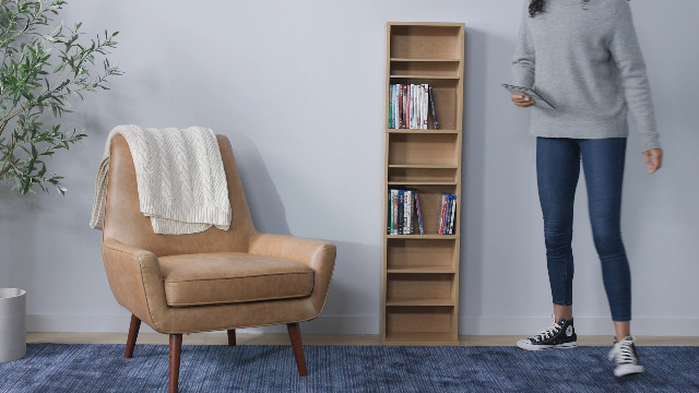 Amazon.com: Atlantic 74735728 Summit CD DVD Shelf For Inside